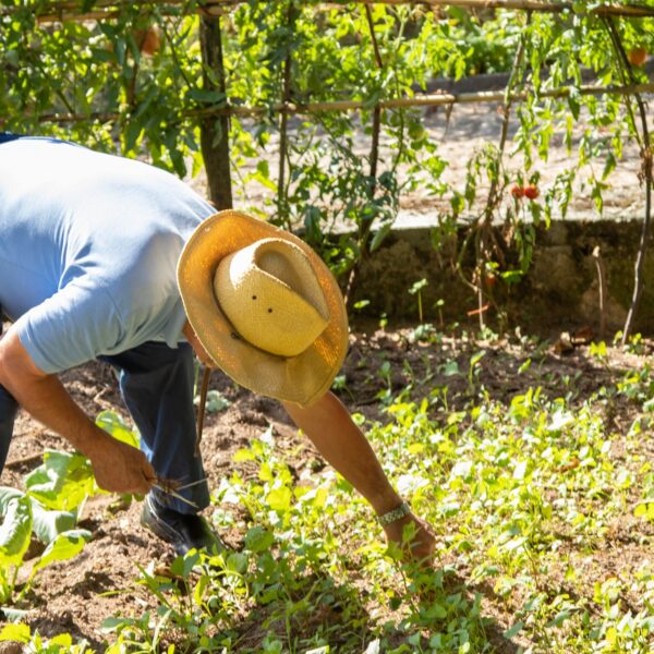 Desempleo en el Maule sigue al alza y alcanza el 10,4%: supera nuevamente el&hellip;