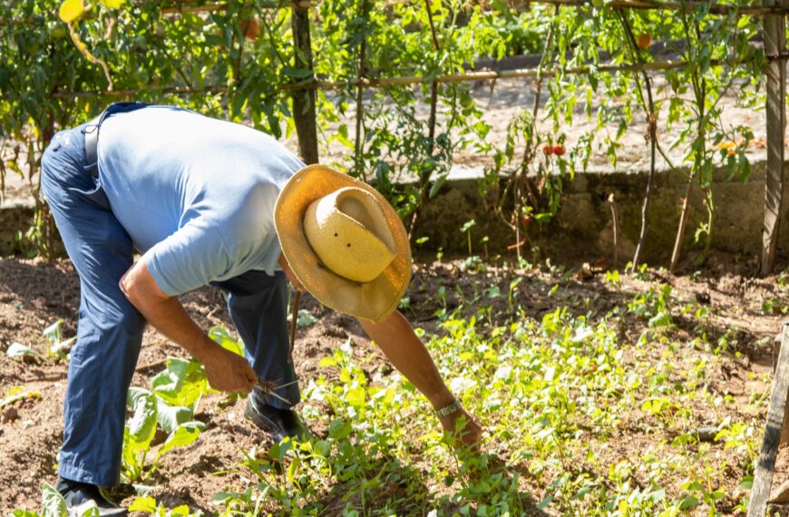 Desempleo en el Maule sigue al alza y alcanza el 10,4%: supera nuevamente el promedio nacional