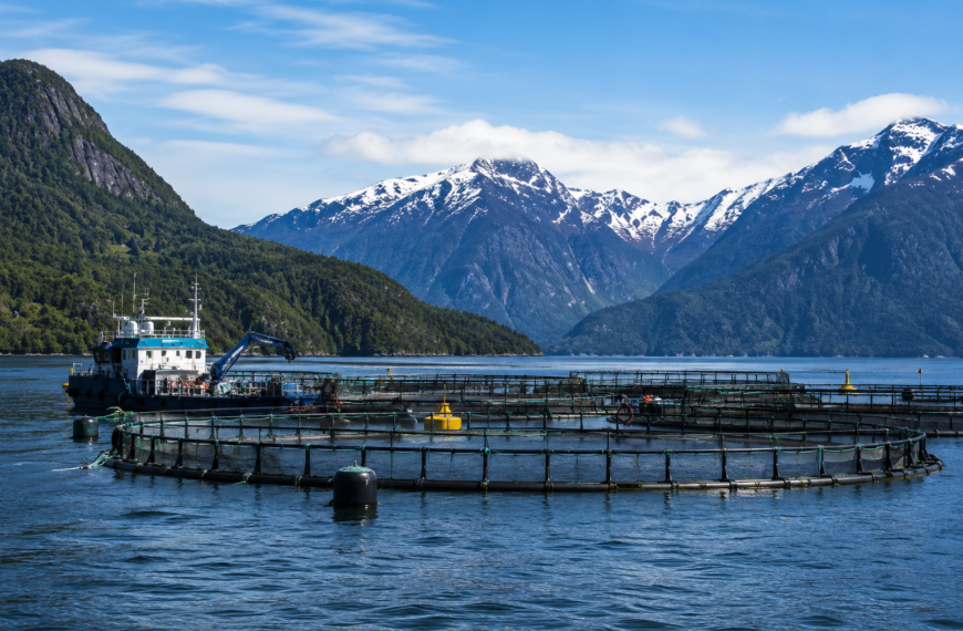 Centro de cultivo de salmones instalado entre fiordos de la Patagonia chilena, territorio involucrado en la discusión sobre evaluación ambiental.