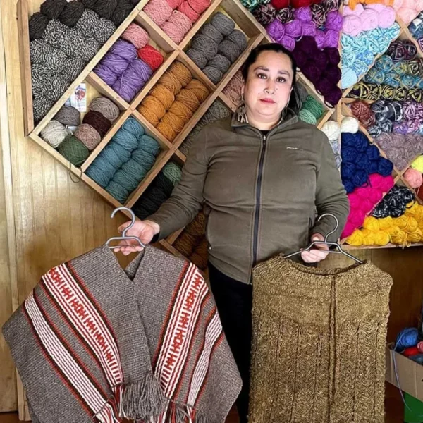 Programa de apoyo a emprendedores llega por primera vez a Valdivia
