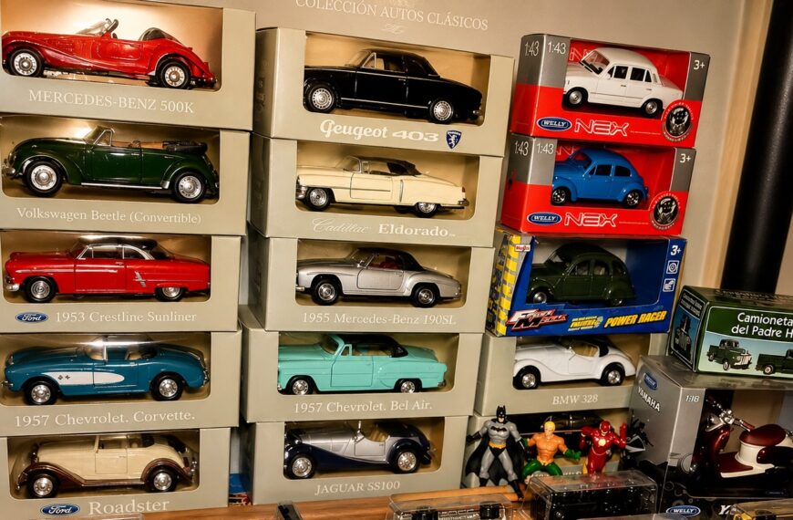 Coleccionistas de autos a escala: el&hellip;