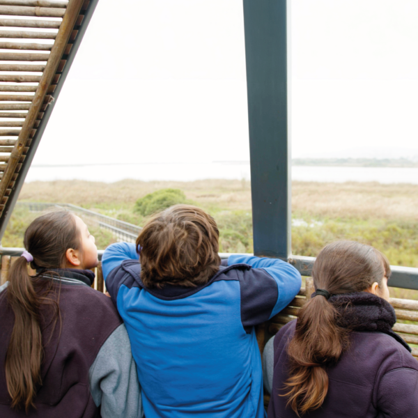 Estudiantes observan un humedal durante una actividad educativa para aprender sobre naturaleza, biodiversidad y ecosistemas.