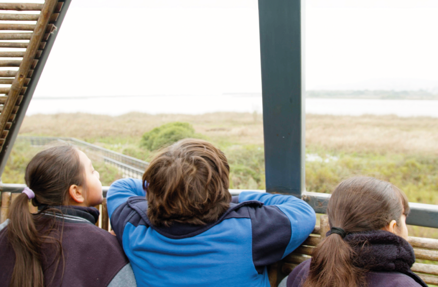 Estudiantes observan un humedal durante una actividad educativa para aprender sobre naturaleza, biodiversidad y ecosistemas.