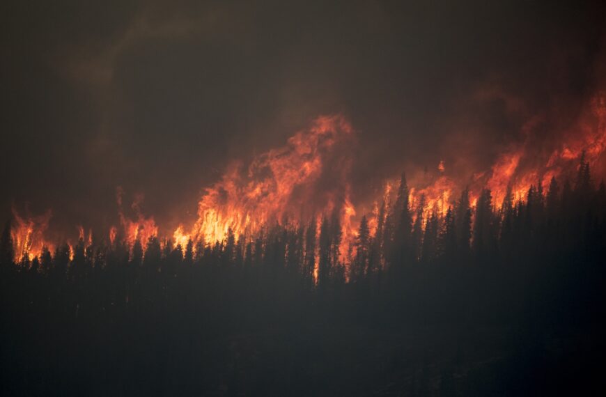 Incendio forestal en Grecia arrasa 6.700 hectáreas y amenaza a Atenas