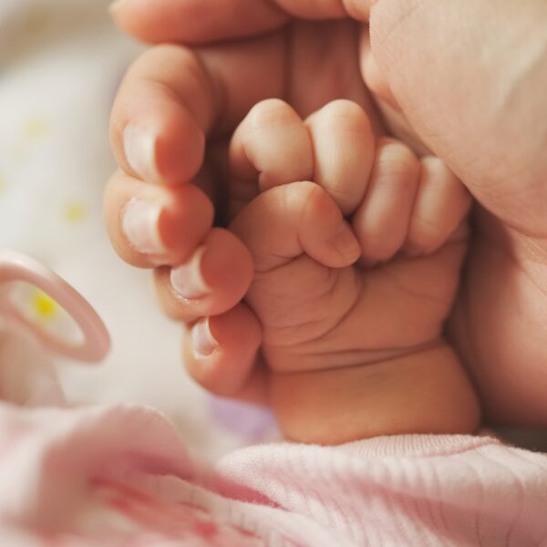 51 bebés buscan una Familia de Acogida en Valparaíso: intervención busca sensibilizar a la&hellip;