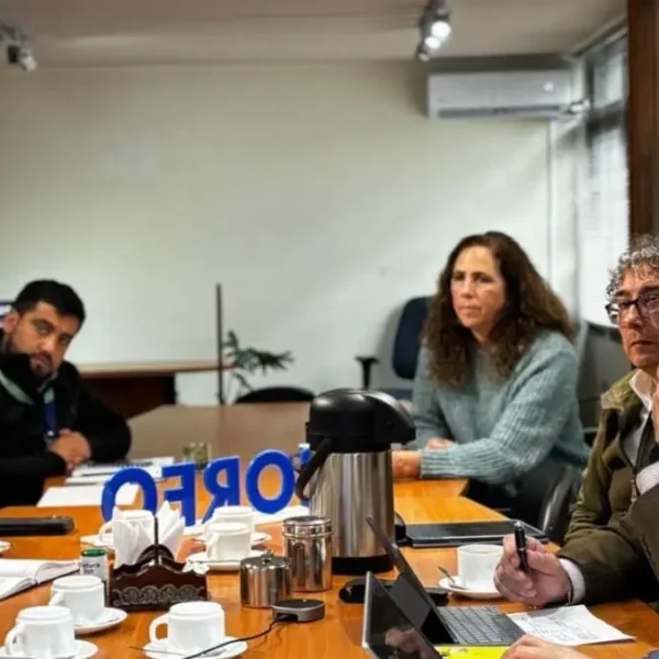 Patagonia Costa apuesta por el turismo náutico como nuevo motor de desarrollo regional