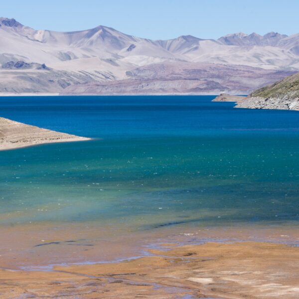 Cien sismos en menos de tres horas: Laguna del Maule entra bajo estrecha vigilancia