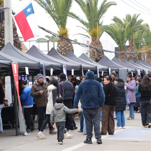 ferias laborales en el Maule
