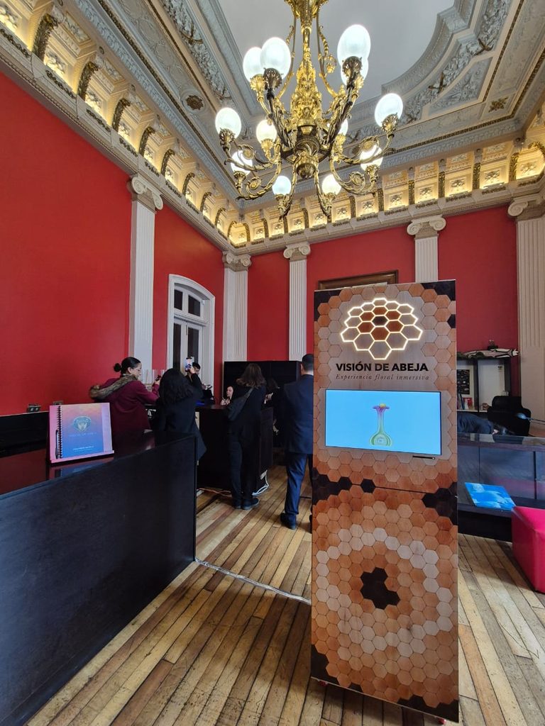 Instalación de Visión de Abeja en una sala del Museo de Historia Natural de Valparaíso.