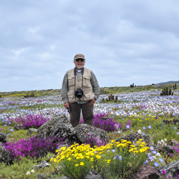 Samuel Barros posa entre flores y vegetación del Desierto Florido.