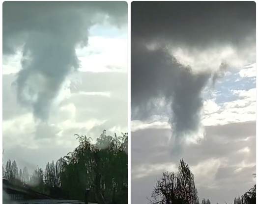 Tornado sorprende a Longaví y deja daños en viviendas y árboles caídos
