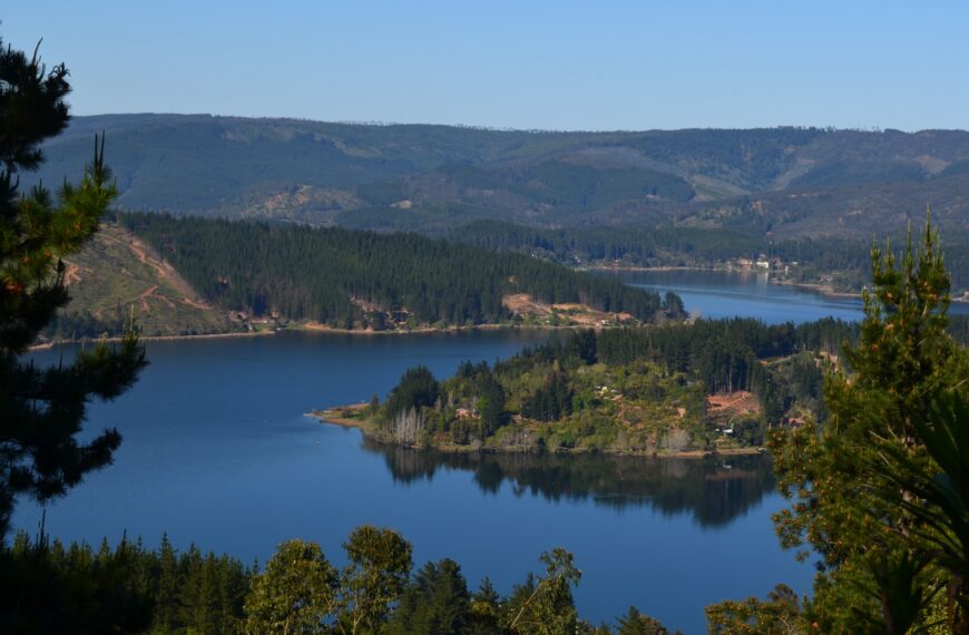 Vichuquén activa nuevas medidas para recuperar el lago y enfrentar su deterioro